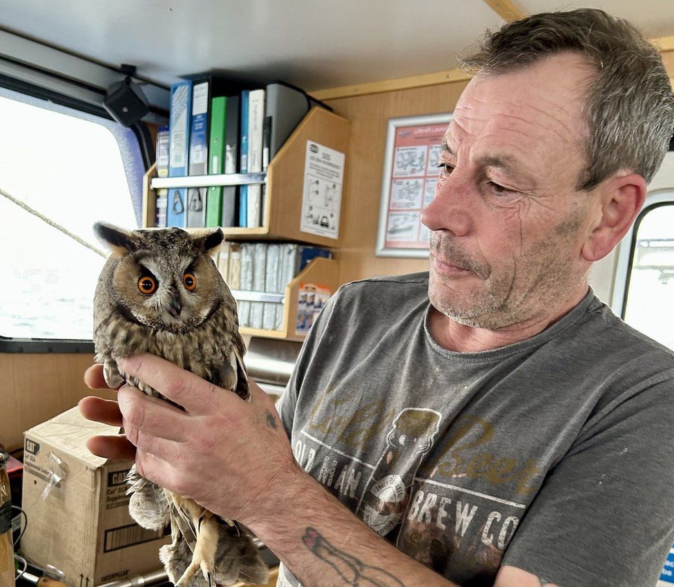 Man holding long-eared owl with orange eyes