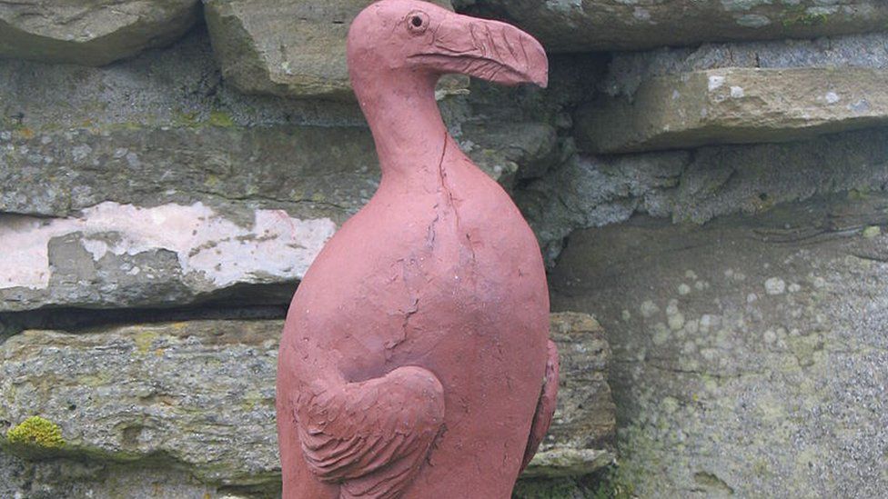 Headless great auk statue sparks renewed interest in the extinct bird ...