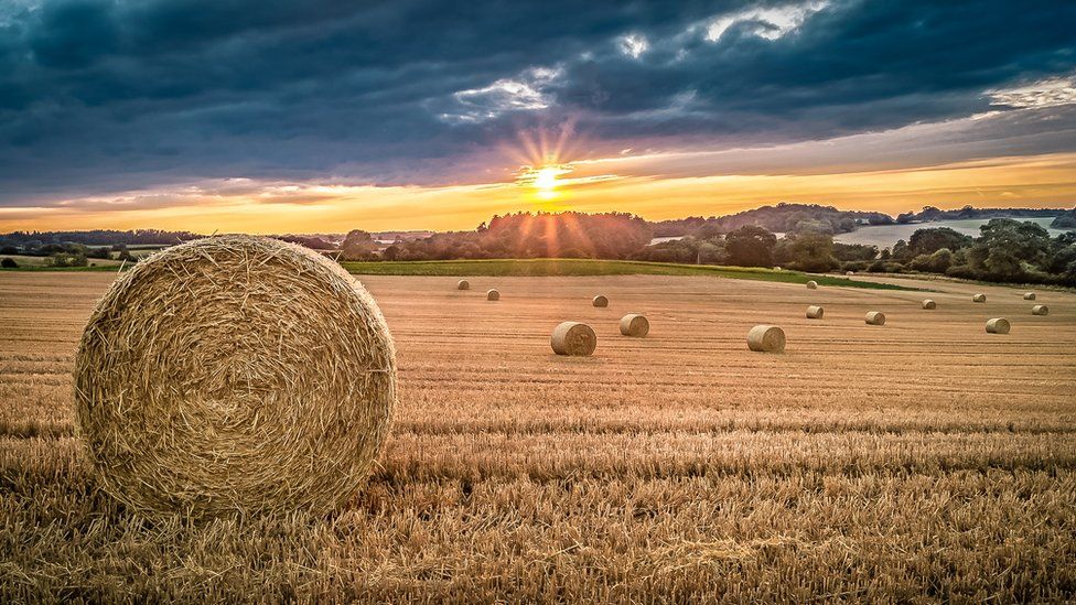 Coronavirus: Norfolk 'countryside beauty' shared for the self-isolating ...