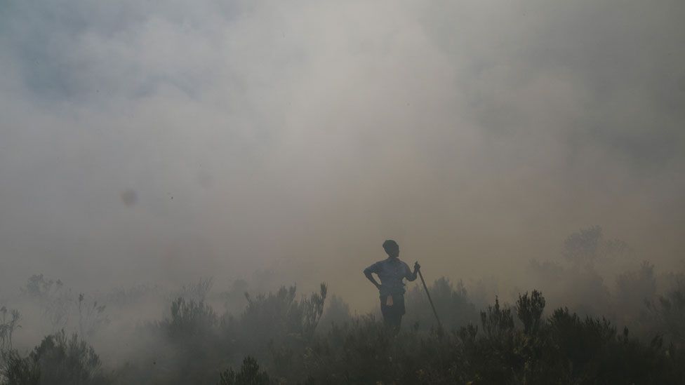 a firefighter in the midst of smoke