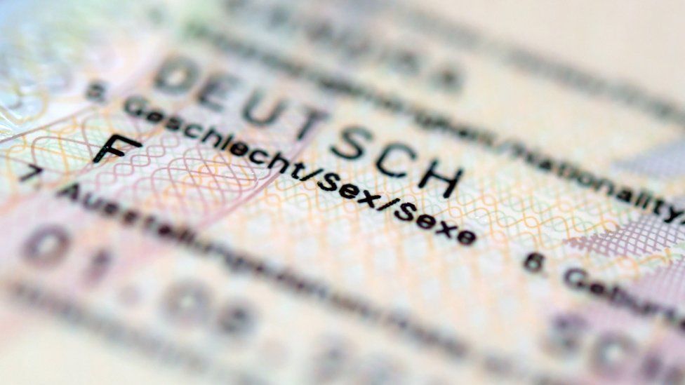Close up of the sex category on a German passport