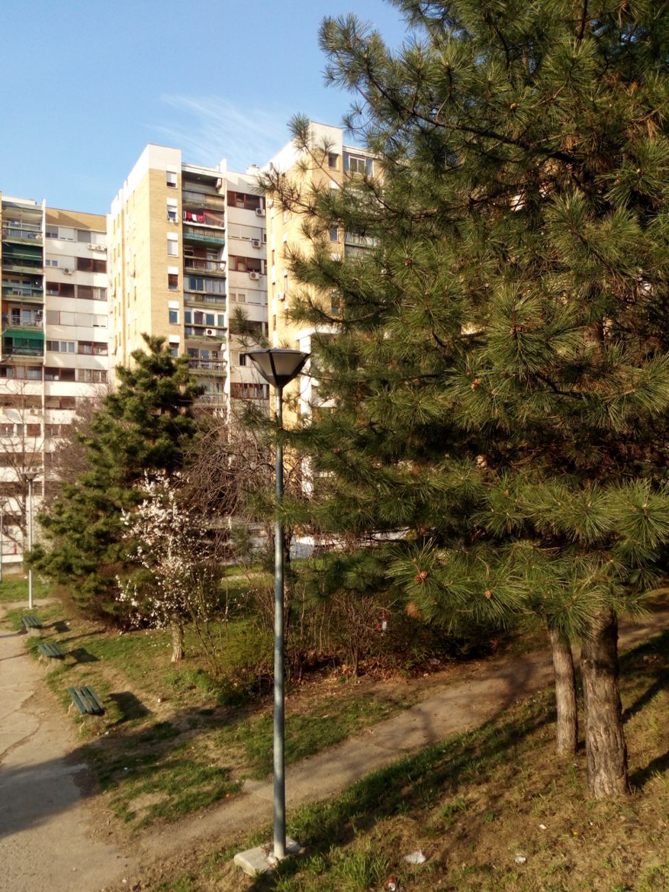 pogled iz izolacije
