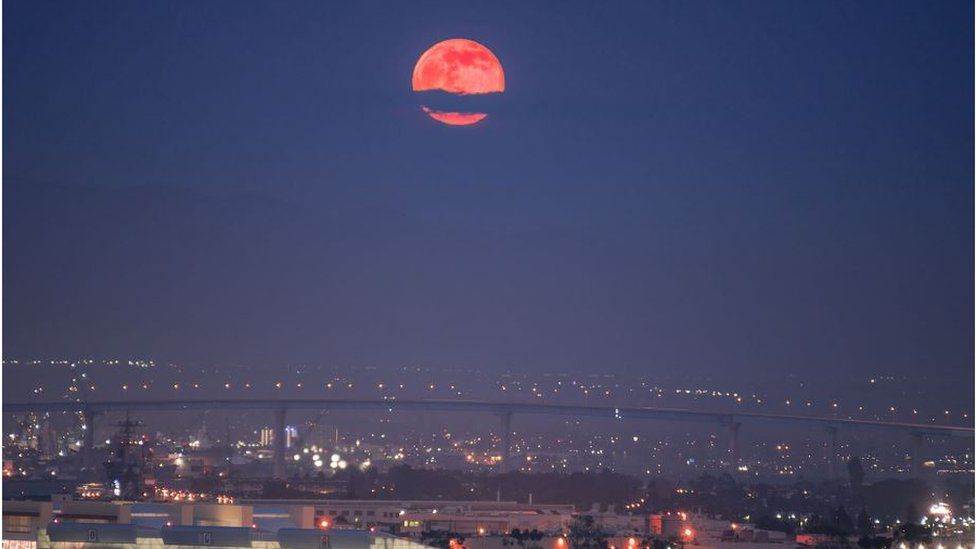 Strawberry moon Your pictures BBC News