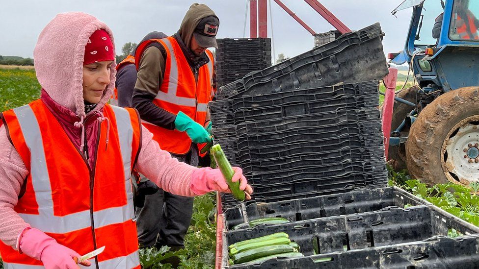 Workers wearing high vis jackets