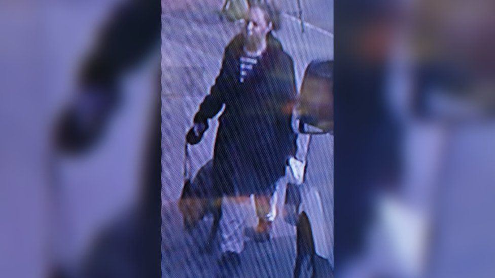 A CCTV image showing a woman walking a dog