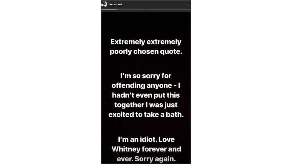 Lorde's apology on Instagram