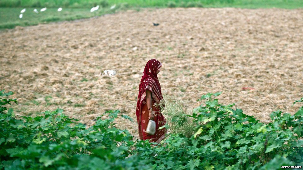 An Indian resident returns after defecating in an open field in a village in the Badaun district of Uttar Pradesh