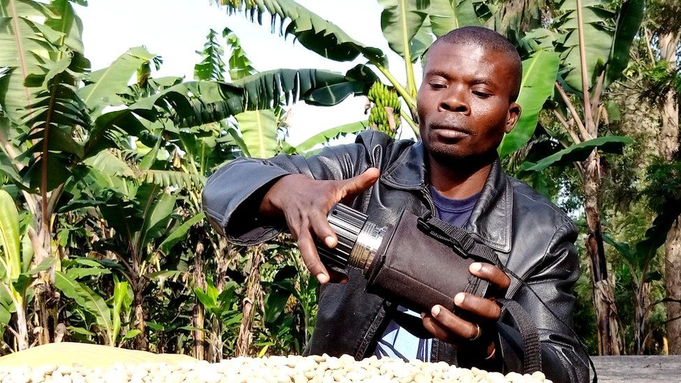 Faustin Mulomba checks coffee beans at the AMKA co-operative