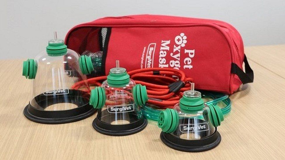 Pet oxygen masks