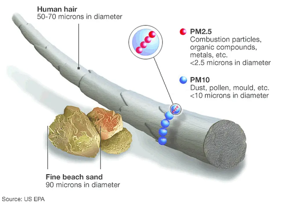 _116904734_science_hair_graphic-nc.png.w