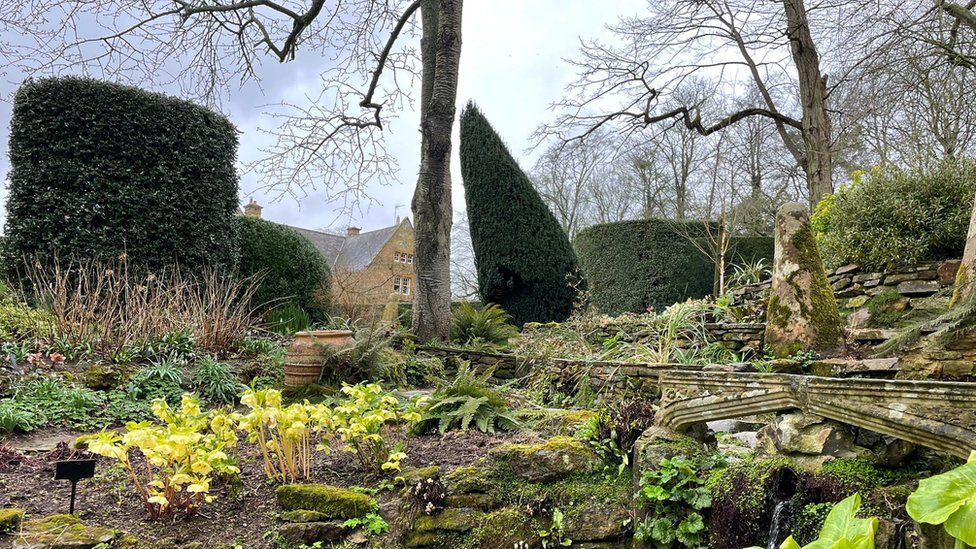 Shrubs and small plants at Coton Manor Garden