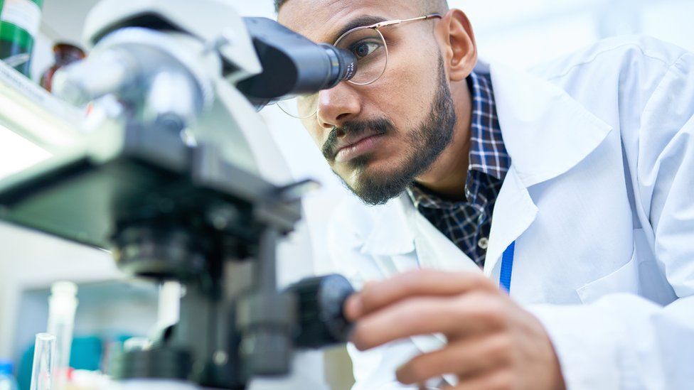 Laboratorio