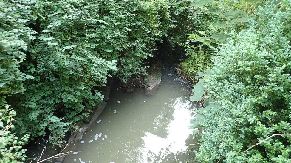 Cloudy water after a leak on July 21 2019 spilled untreated effluent into Shawford Lake Stream in Waltham Chase