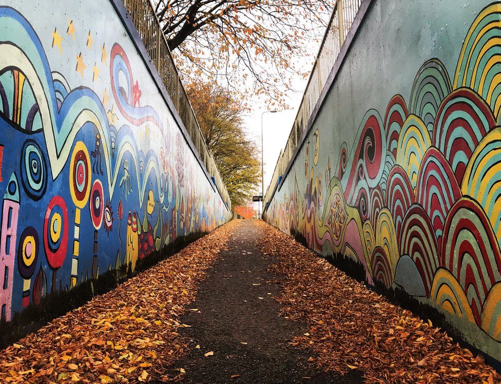 Street art and fallen leaves along a path