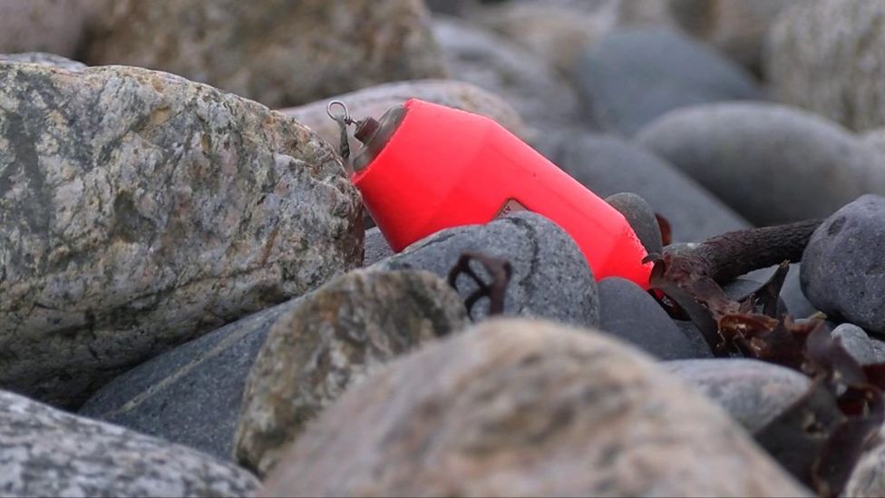 and Pang eels survey highlights river barriers BBC News