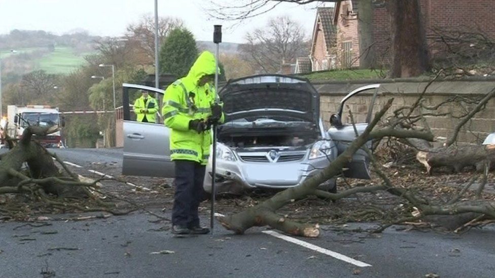 Noone to blame for death of woman killed by falling tree, inquest finds BBC News
