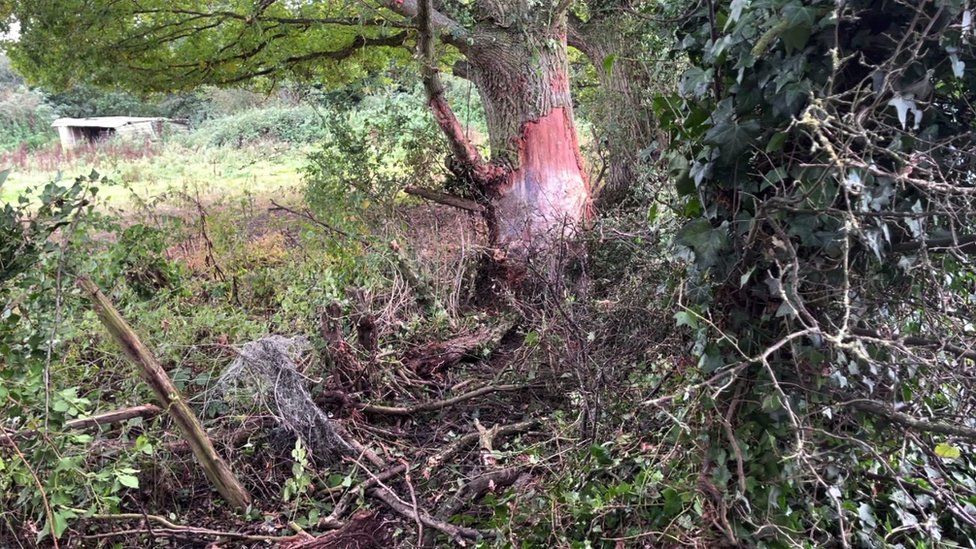 Crash site in Lenham Road, Headcorn