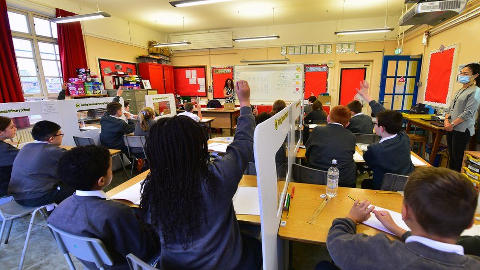 A classroom of children from behind with a number of children having their hands raised