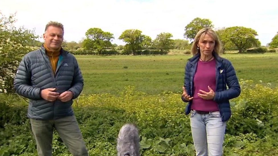 The presenters of the BBC's Springwatch programme