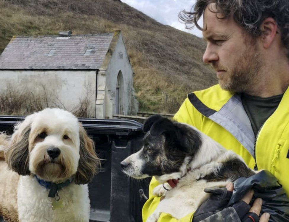 Dog Found Stuck In Skinningrove Rocks Days After Disappearance c News