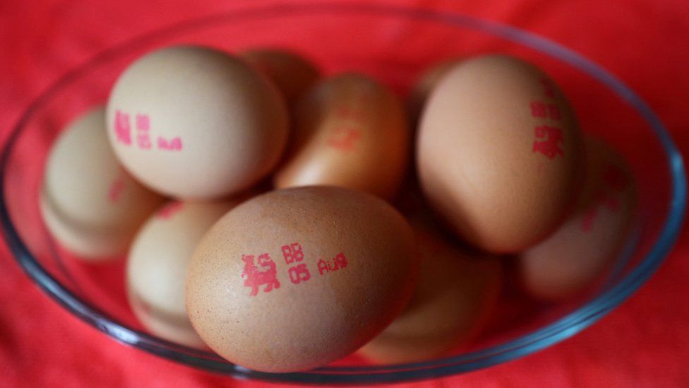 Shop the Latest Egg Bags in the Philippines in November, 2023