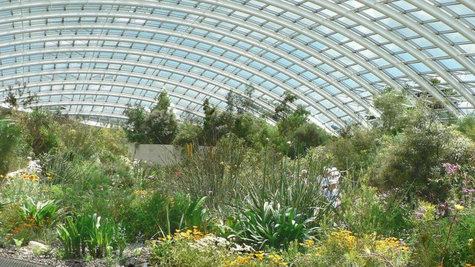 Inside the National Botanic Gardens of Wales