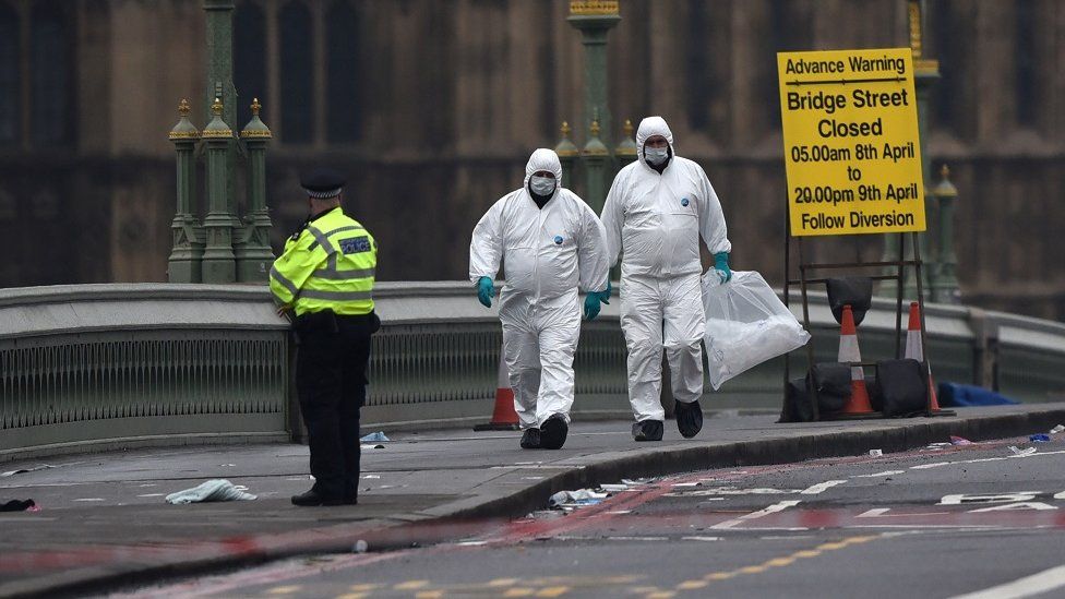 Forensic officers at Westminster