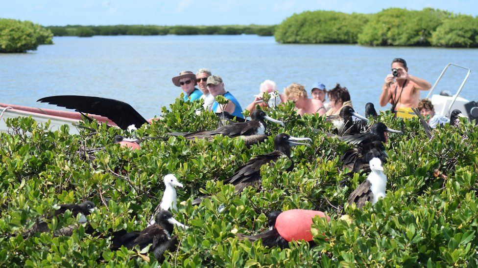 Vacation In Antigua And Barbuda