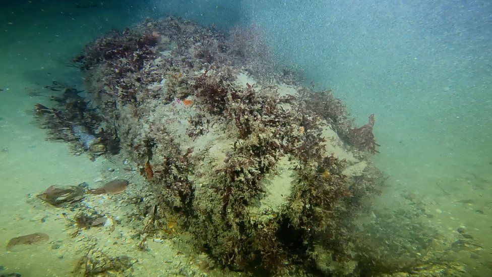 Unexploded ordinance on the seabed