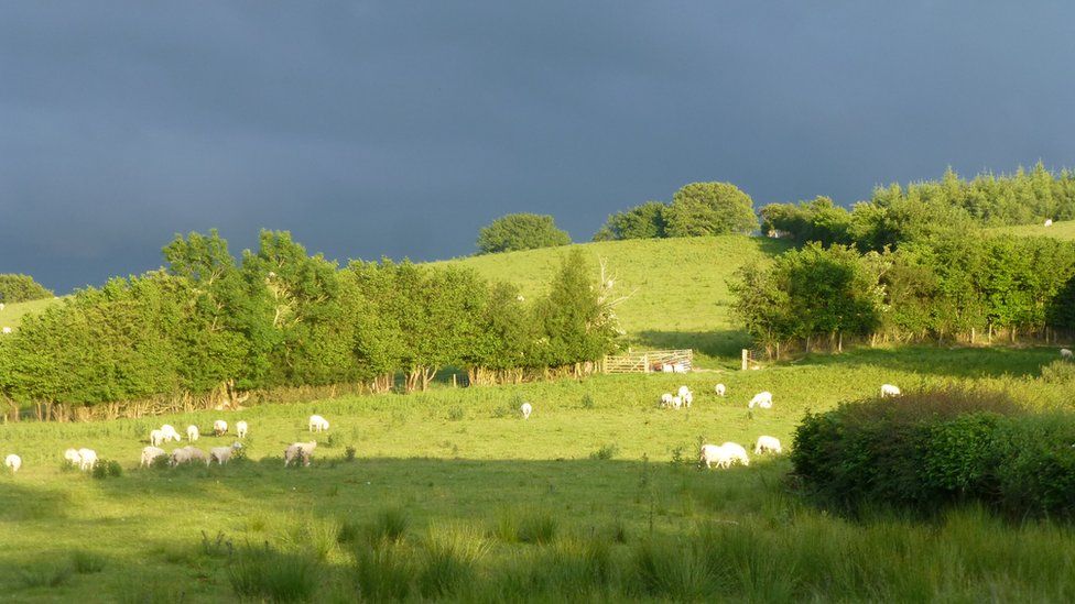 Liz Hooton-Coldicott's dark skies and light field contrast from her garden in Trefeglyws, Powys
