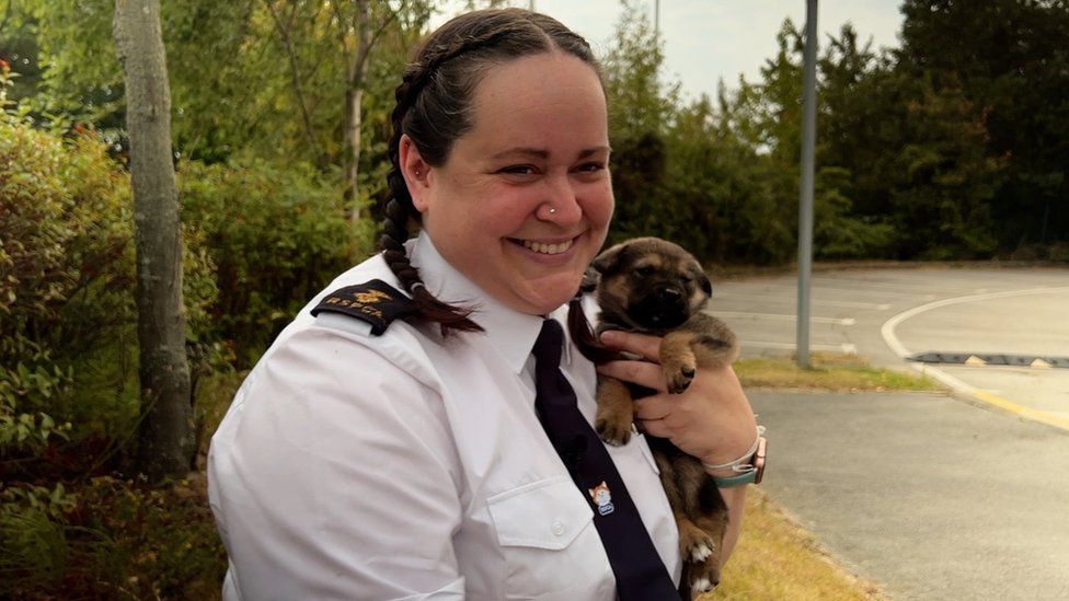 Image of an RSPCA inspector holding a tiny puppy