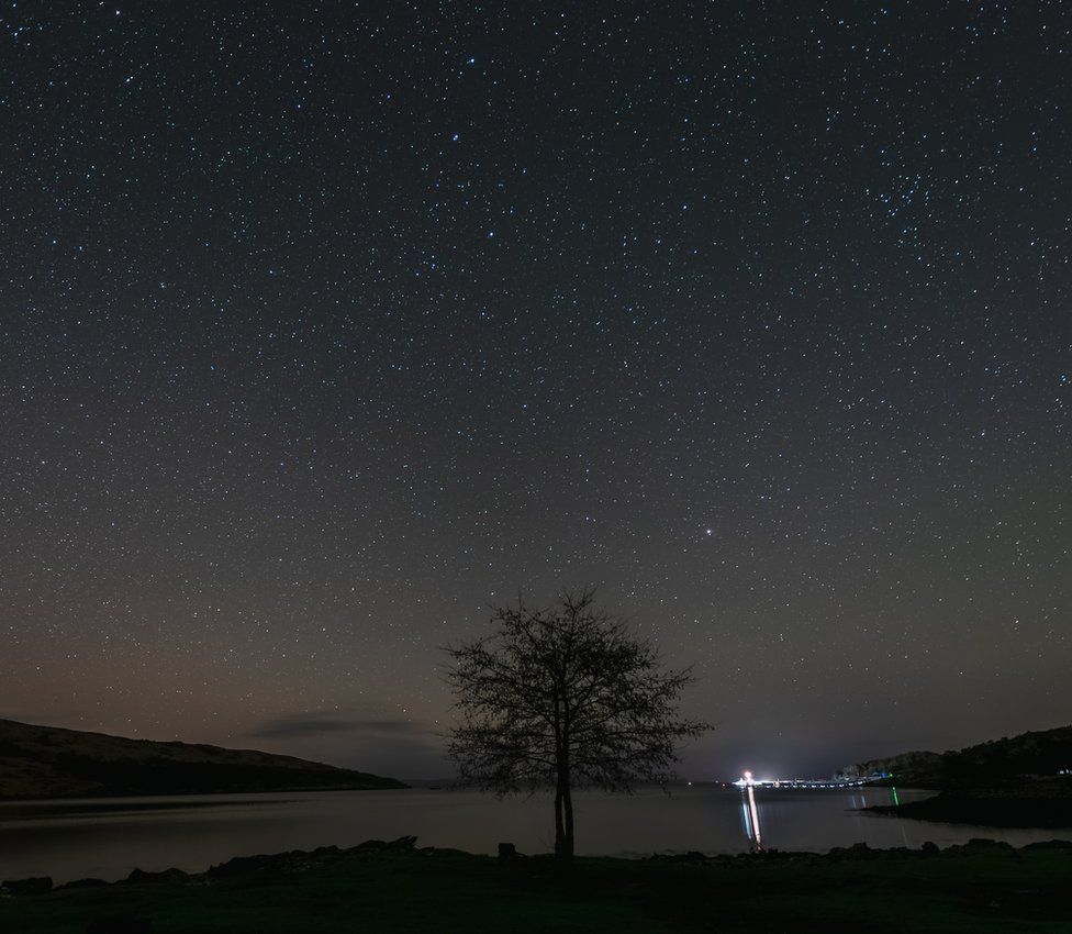 Starry sky above tree and bay on Isle of Rum