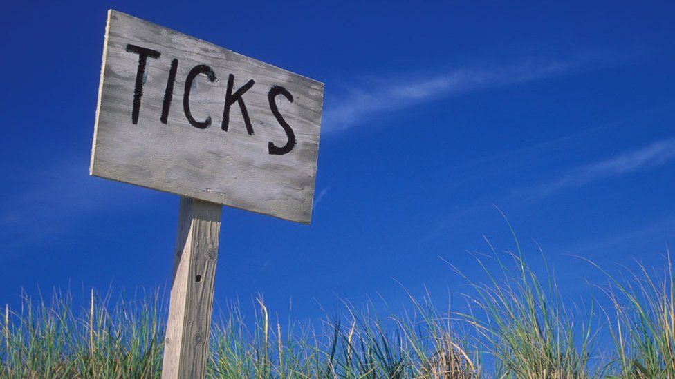 A sign warning about ticks near Nantucket