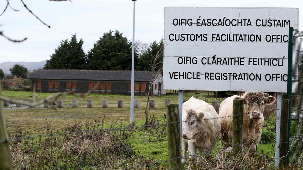 Cows near a disused border post in Ireland