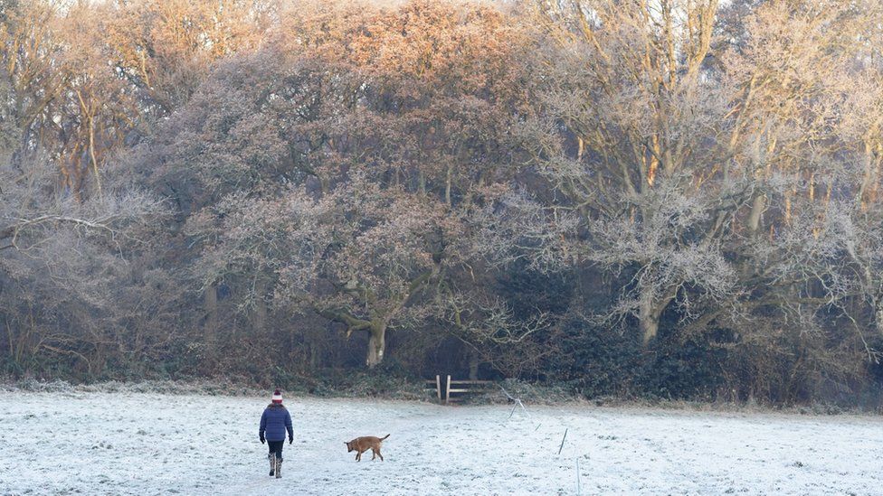 A person walks a dog across icy fields near to Dogmersfield in Hampshire.