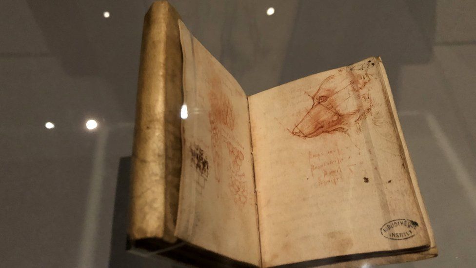 A drawing in one of Leonardo da Vinci's many notebooks shows an almost mathematical impression of the face of a dog