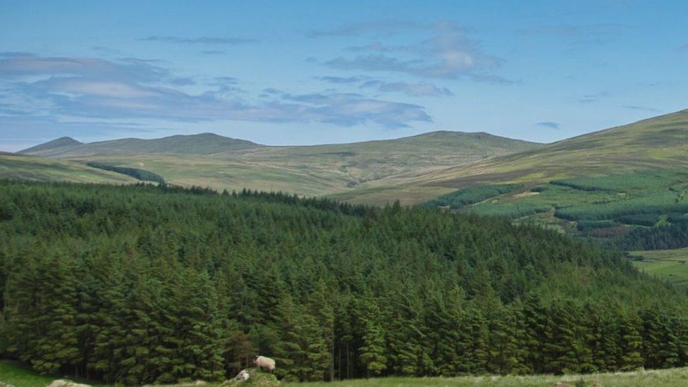 View of woodland below Snaefell Mountain