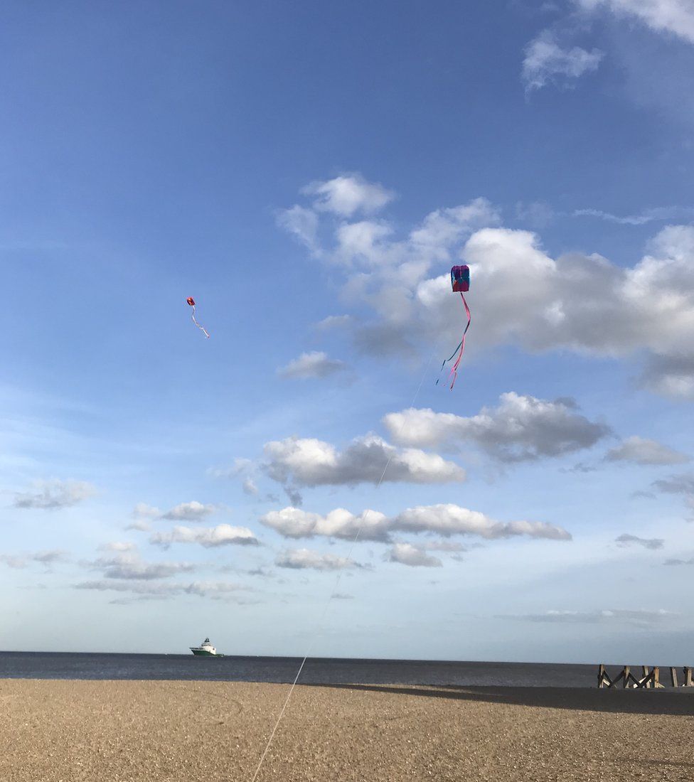 Kite flying on a beach