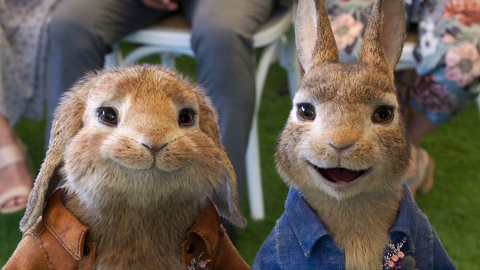 Cineworld reopening boosted by demand for Peter Rabbit 2 - BBC News