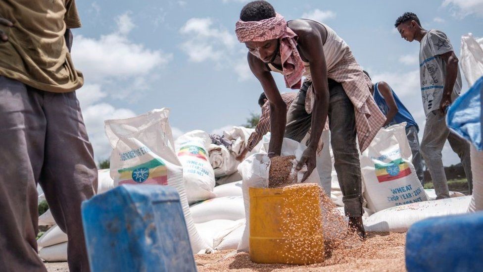 A man pours wheat into a container during a food distribution organized by the Amhara government near the village of Baker, 50 kms South East of Humera, in the northern Tigray Region on July 11, 2021.