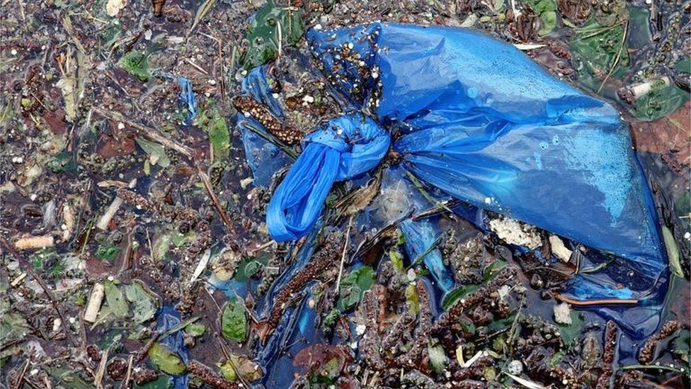 A blue plastic bag in Regent's Canal in London