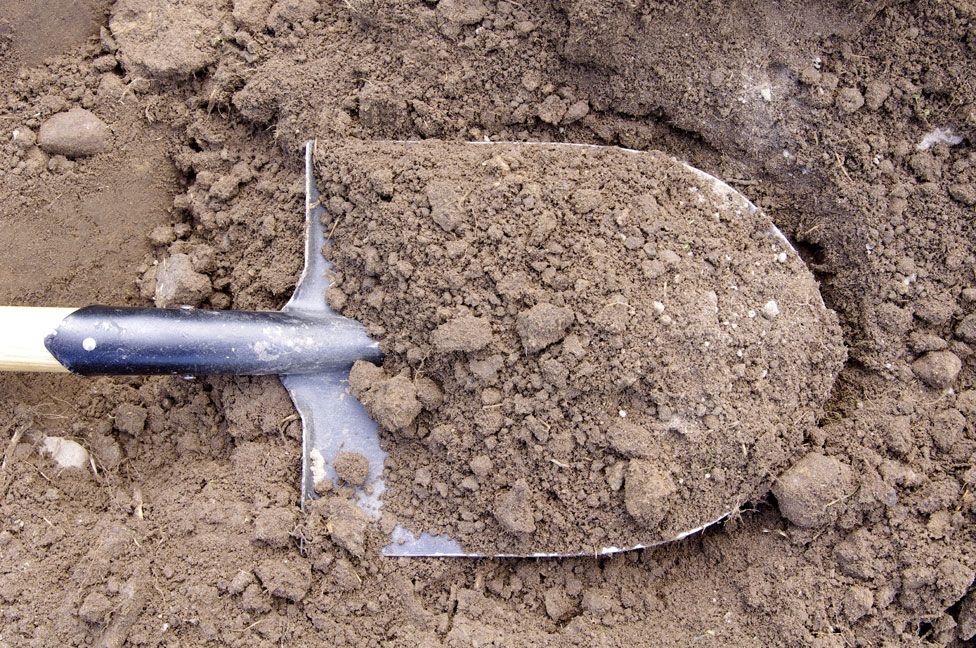 A shovel in mud