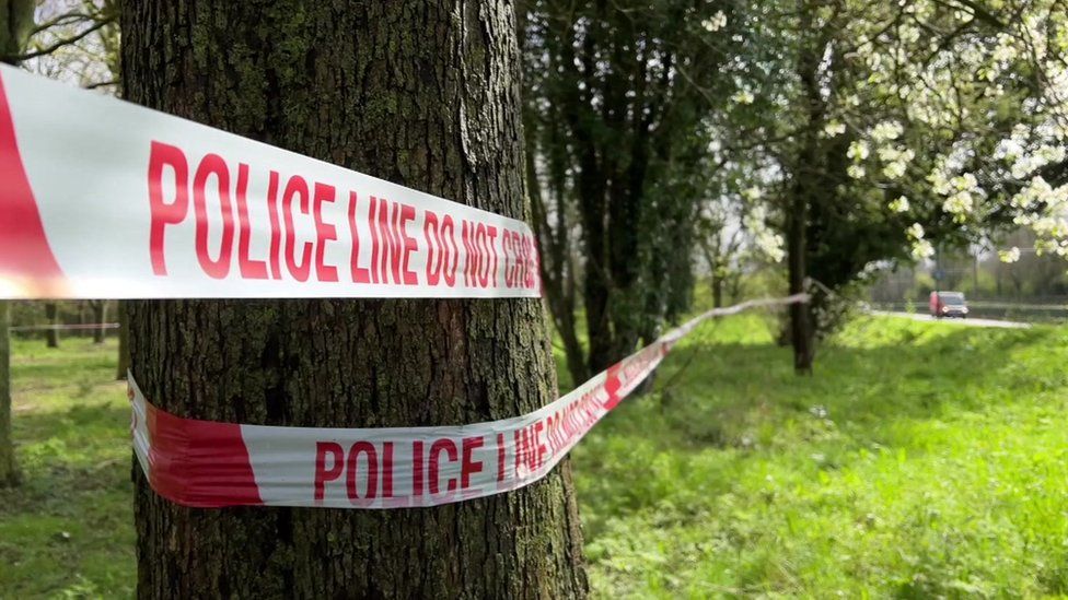 Police tape around a tree
