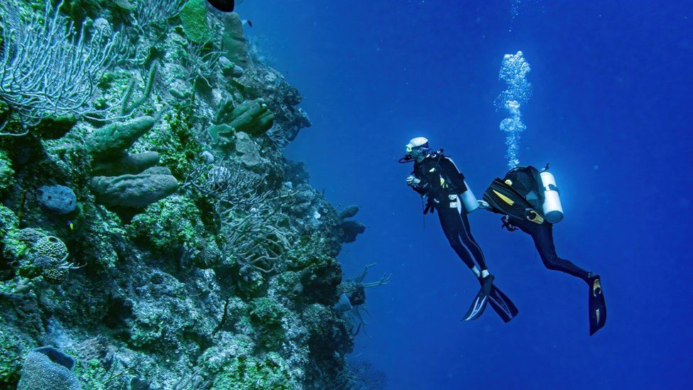 Divers at Little Cayman Marine Parks and Protected Areas, situated in the UK overseas territory of the Cayman Islands,