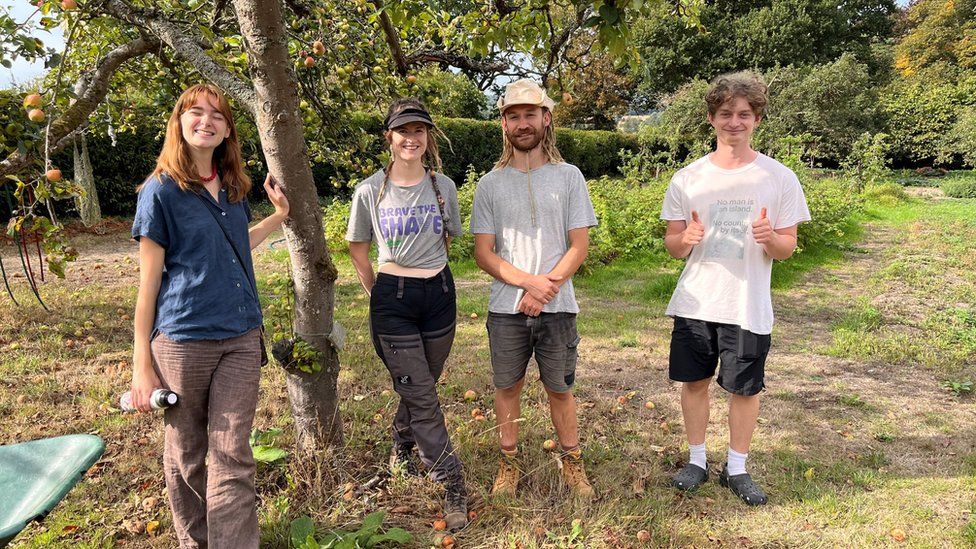 four volunteers in the orchard