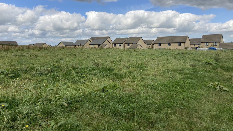 Houses in a field