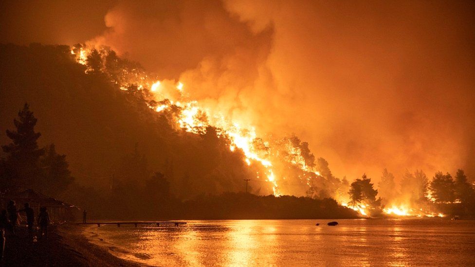 A wildfire burns in the village of Limni, on the island of Evia, Greece, on 6 August 2021