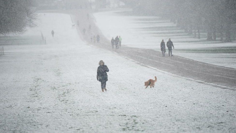 Early morning snow on the Long Walk at Windsor Castle, Berkshire,