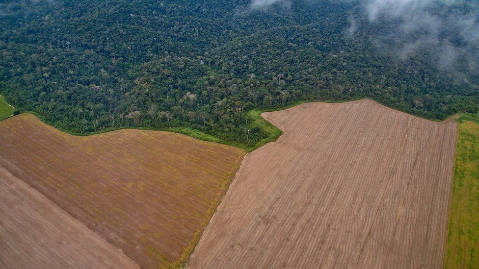 Aerial view of devastation in the Amazon