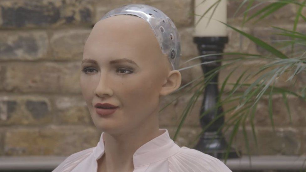 Contradiction Incubus here Sophia the robot wants a baby and says family is 'really important' - BBC  News